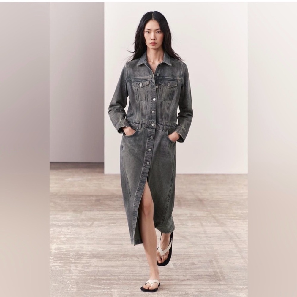 NWT Zara Denim Dress